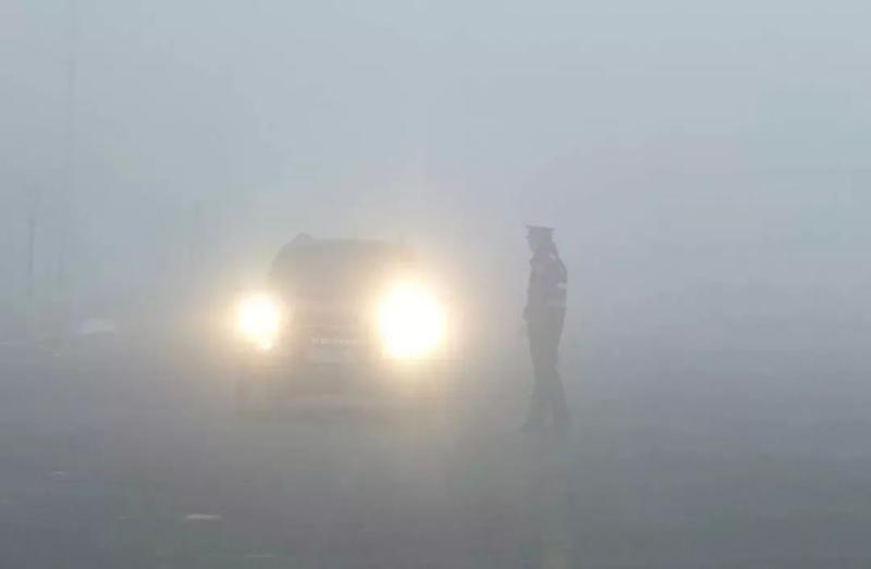 小心隔壁熊孩子春节回家安全用车攻略