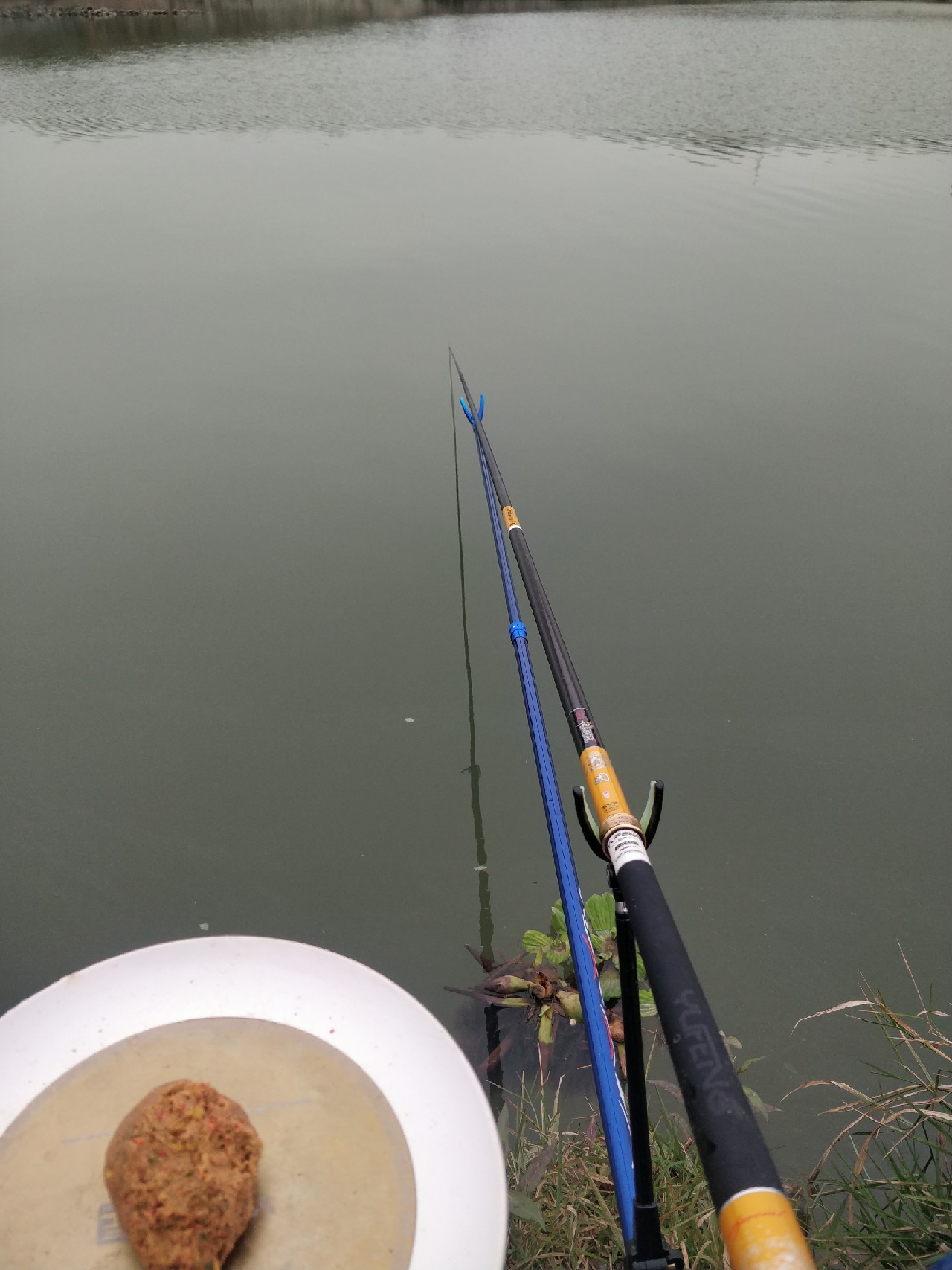 原来钓鲫鱼的诀窍在这里,春钓鲫鱼用什么饵料最好