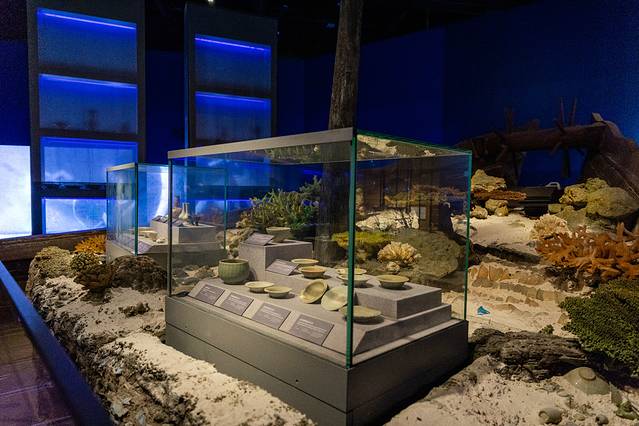 南海往事,南海往事电影