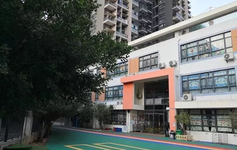 龙岗新生片区有哪些公办幼儿园,深圳市龙岗区龙岗街道爱尔幼儿园