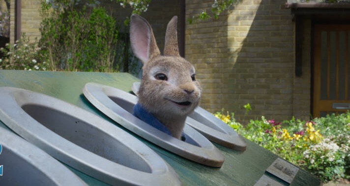 比得兔2逃跑计划在哪看,比得兔2逃跑计划宣传图片