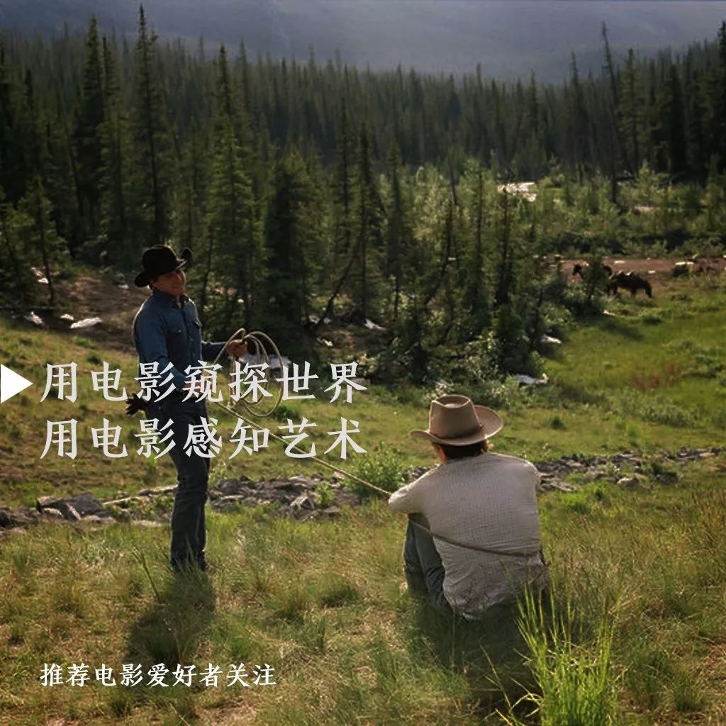 2000-2019,20年20部,最不该缺课的电影,上