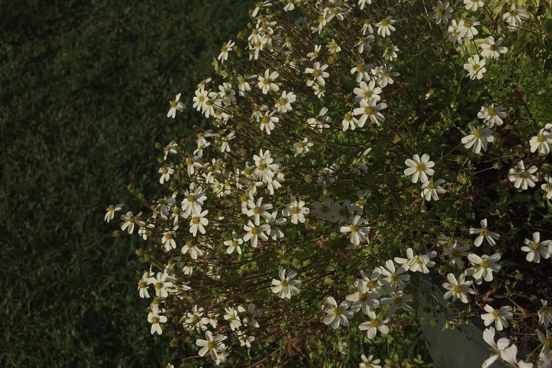 看了这21个单品，春节收的红包留不住了