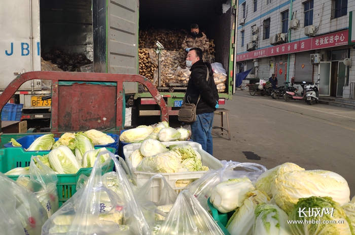 石家庄桥西蔬菜批发今日价格行情,今日石家庄桥西蔬菜水果批发价格