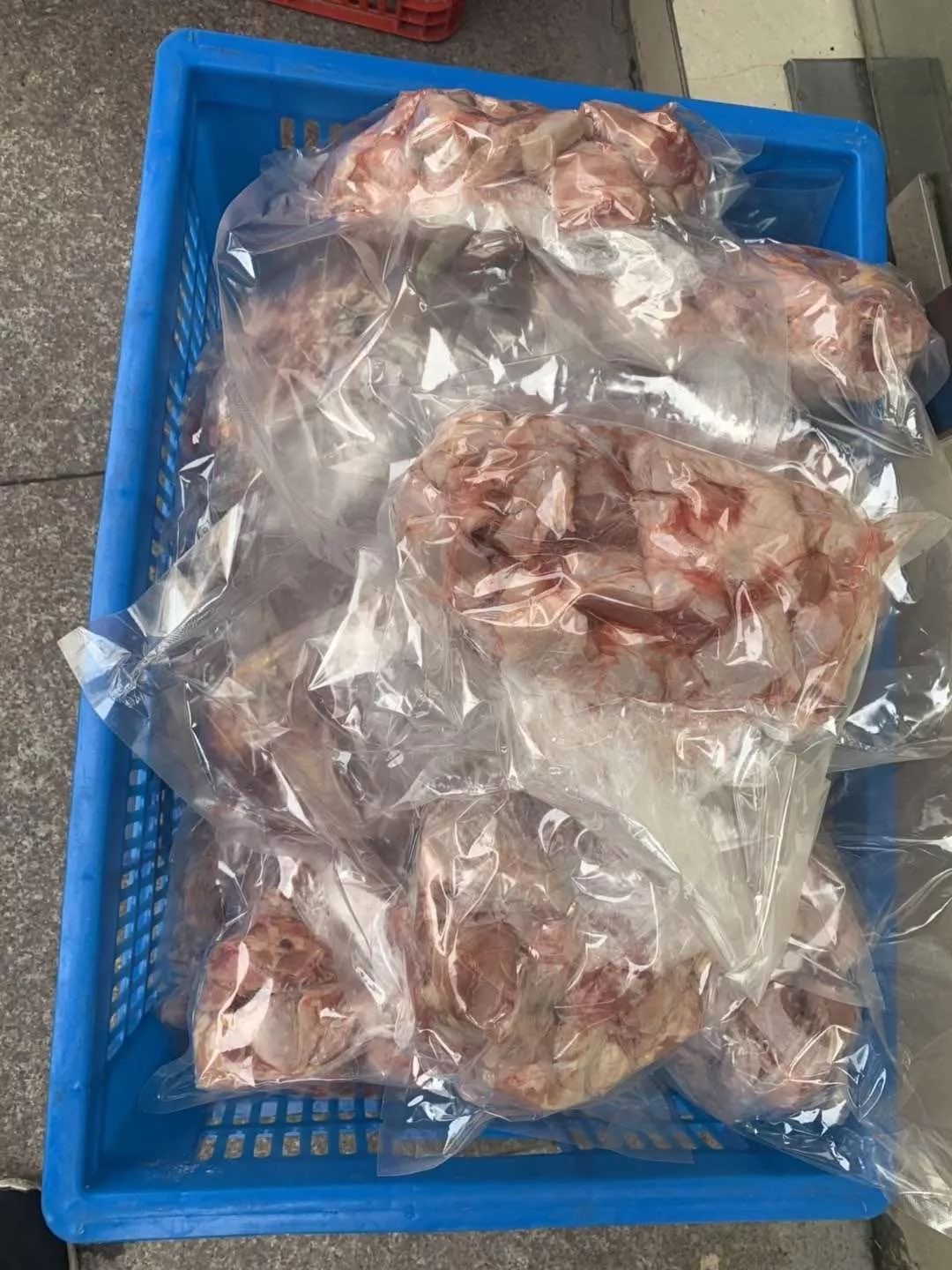 “帕芙丽要冷冻”，“我家有平板车”……这里有一股股暖流