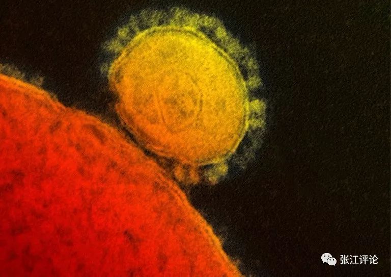 新型冠状病毒研发出药吗,新型肺炎疫情药物研究