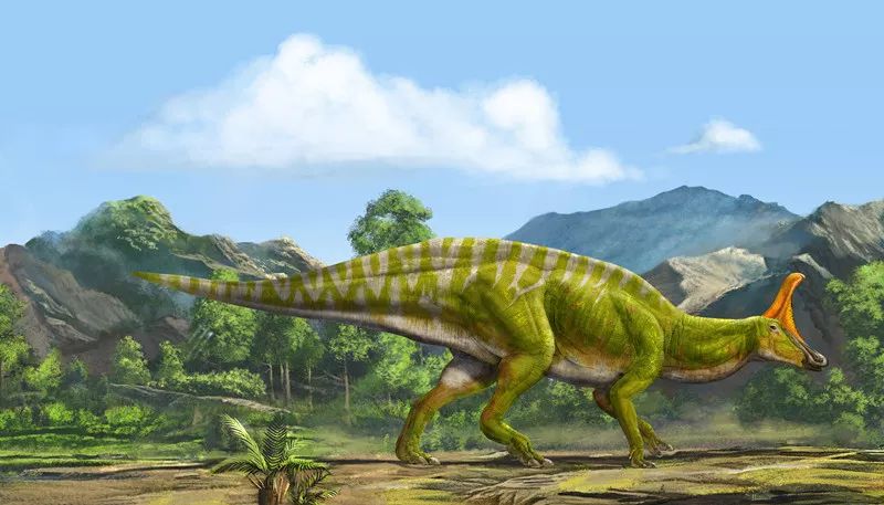 中国最厉害的十大恐龙,恐龙中国第一龙