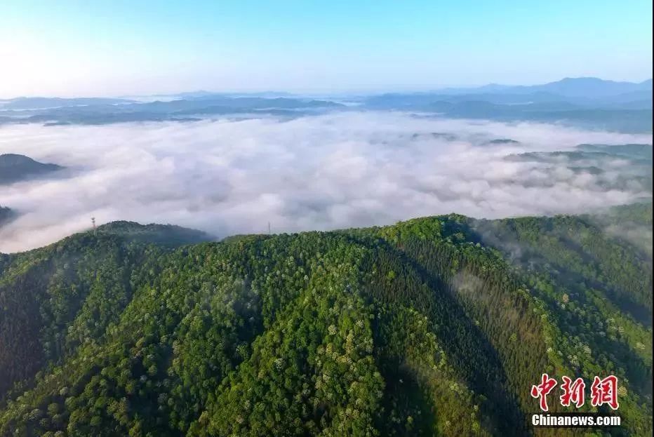 今日立春冬已尽春可期,今日立春春暖花开