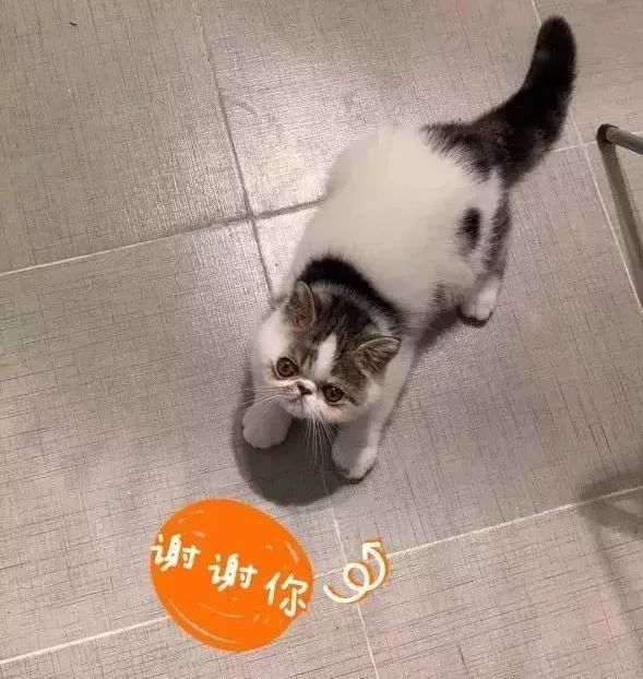 叮咚、美团、饿了么6日开始停止营业?最新回应来了