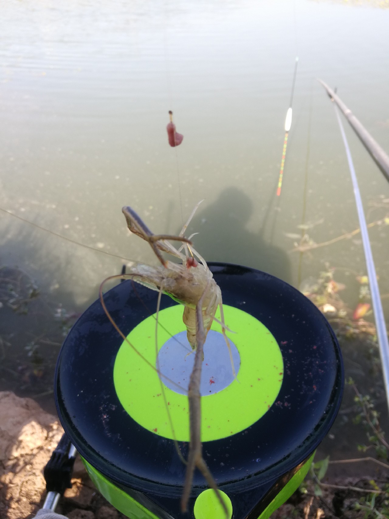 冬季钓鱼窝料配方最新秘方,野钓窝料秘方大揭秘大板鲫的克星