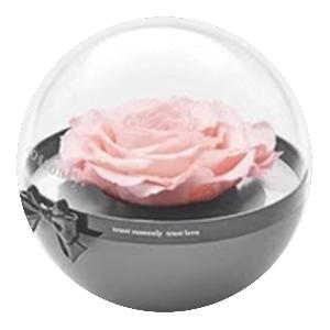 宅在家也能赚取步步豆？获取赵品霖免费电子刊居家不无聊