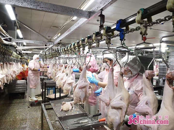 顶呱呱这家公司怎么样,菏泽郓城顶呱呱