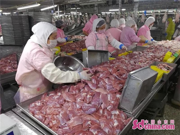 顶呱呱这家公司怎么样,菏泽郓城顶呱呱