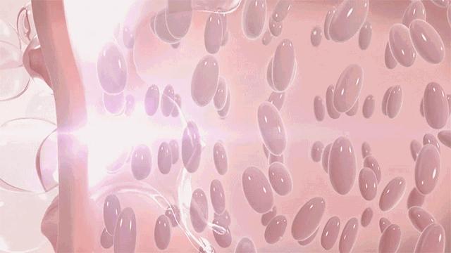 当人衰老了会出现什么变化,当身体衰老会出现哪几种现象