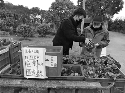 90后种菜的小夫妻送菜,95后小伙为邻居送菜