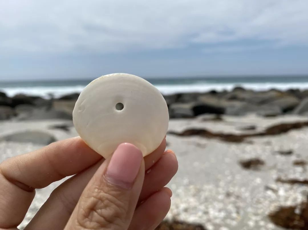 不用花钱就能玩的儿童游戏,十个小朋友玩游戏