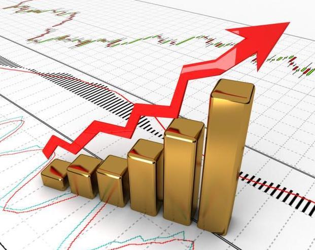 北大财经女博士炒股,北大金融女博士