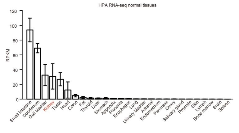 最新新冠病毒感染后果,新冠第二次感染死亡是不是谣言