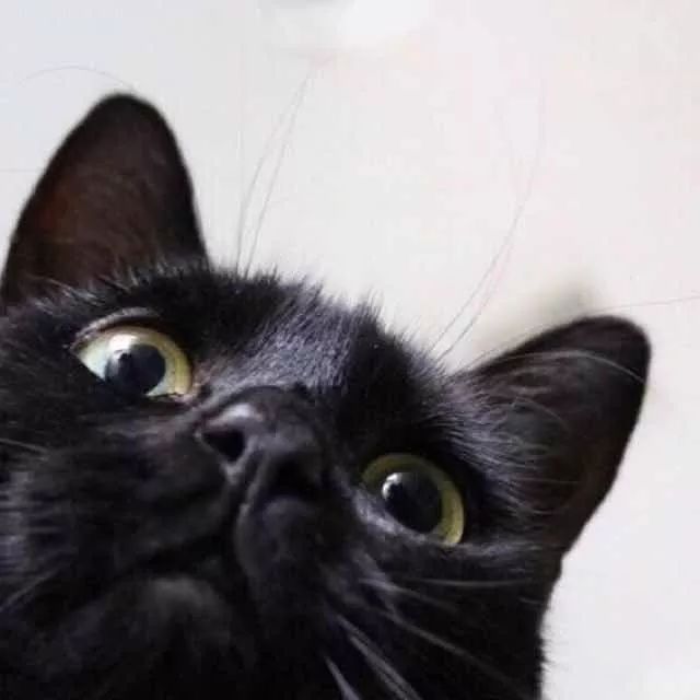 戴口罩过敏脸上起红疹用什么药膏,一戴口罩脸过敏发痒发红怎么治