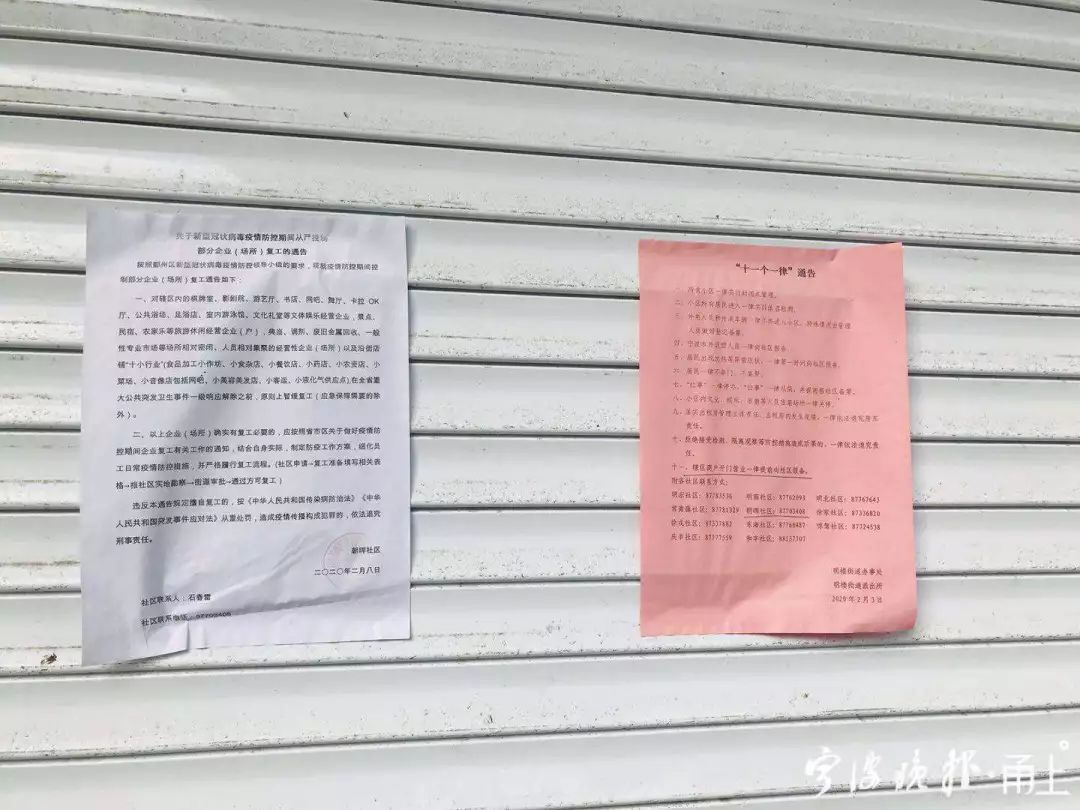 托尼老师发型减龄扎马尾,托尼老师的发型短发怎么扎