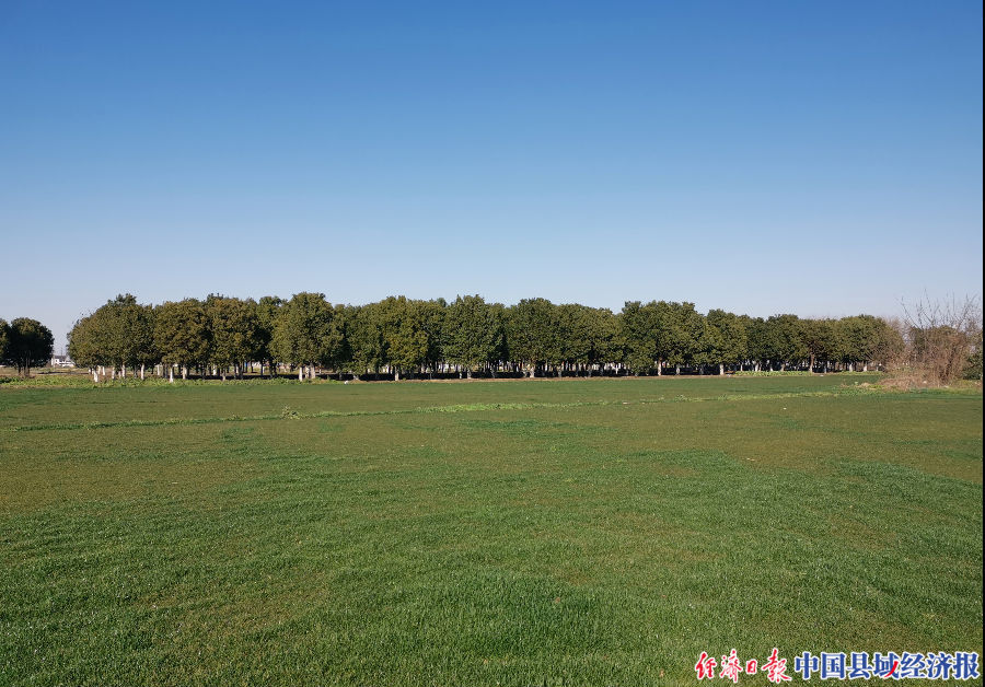 防疫昆山,疫情防控昆山在行动