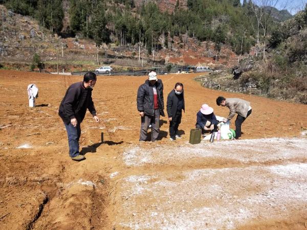 全力构筑抗疫网络安全屏障,线上线下齐发力守好抗疫民生线