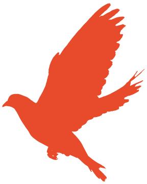 退伍不褪色创业者,退伍不褪色常州