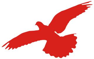 鐜嬫枌鍔卞織鍓嶈,鐜嬫枌鏉板嚭闈掑勾