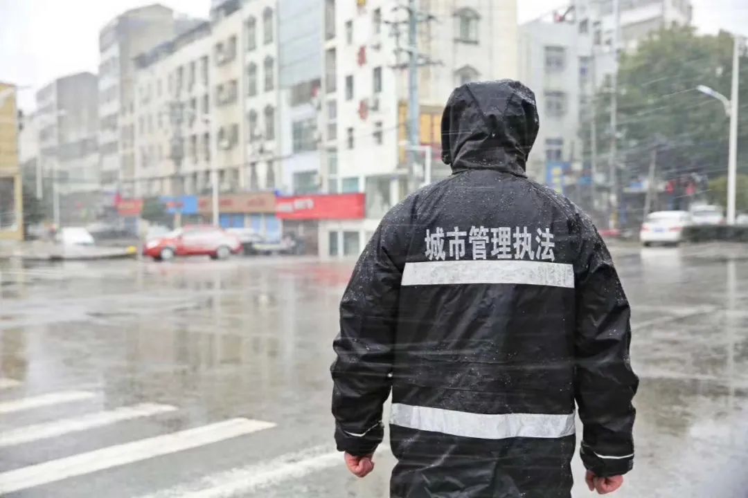 红安回忆,红安日记图片