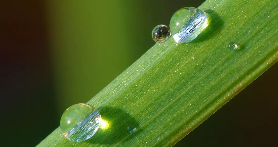 被医生放弃的病人,被医院放弃后自救活了三十年