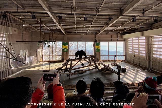 现在去日本买口罩,去日本买口罩日购