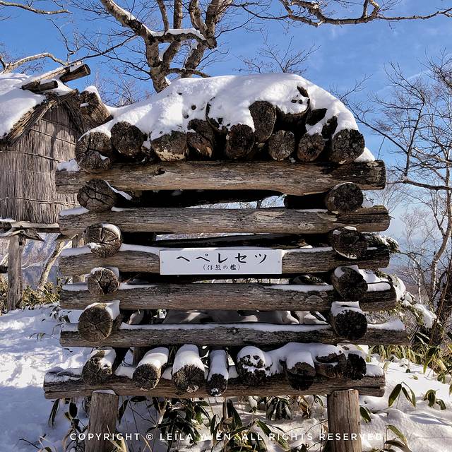 现在去日本买口罩,去日本买口罩日购