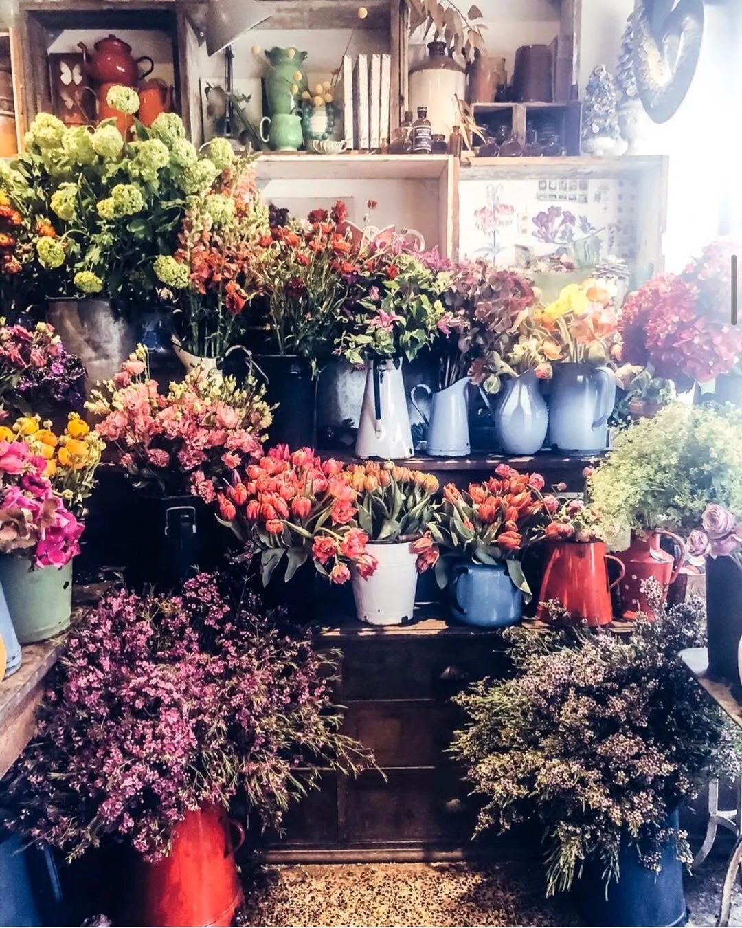 伦敦花店排名,伦敦花店哪个最好