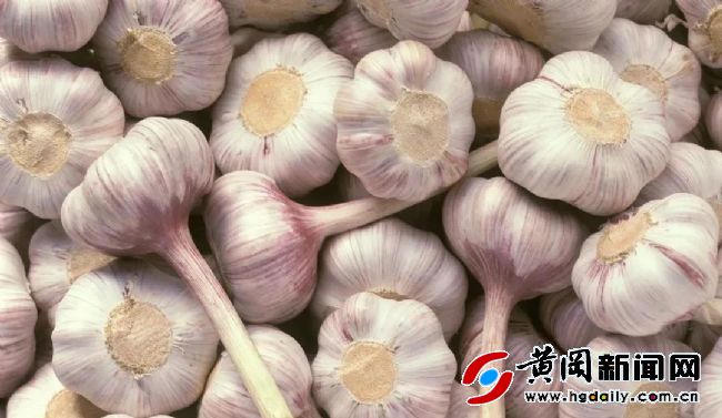 黄商集团千里采购保障百姓“菜篮子”——保供应战“疫情”系列报道四