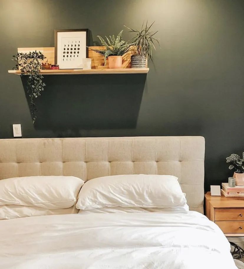 日常生活中的时尚博主,一个居家上班的博主