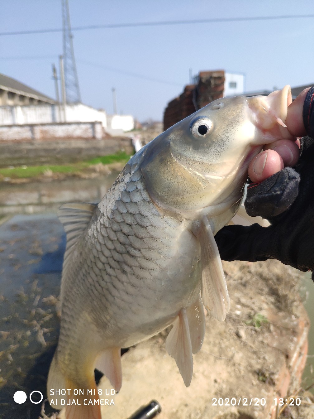 本人野钓经验总结范文怎么写,万峰湖野钓经验