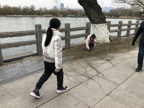 济南疫情期间公园对外开放,济南湿地公园疫情开放了吗