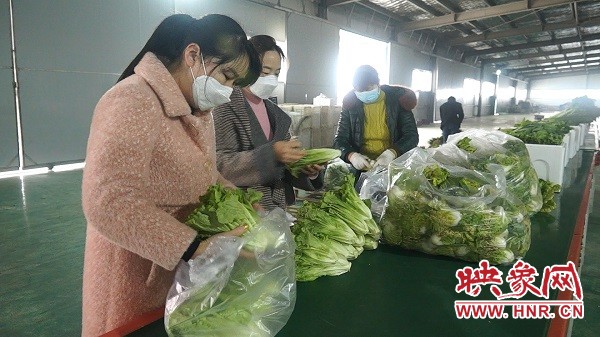 新发地蔬菜直通车,蔬菜直通车开到家门口