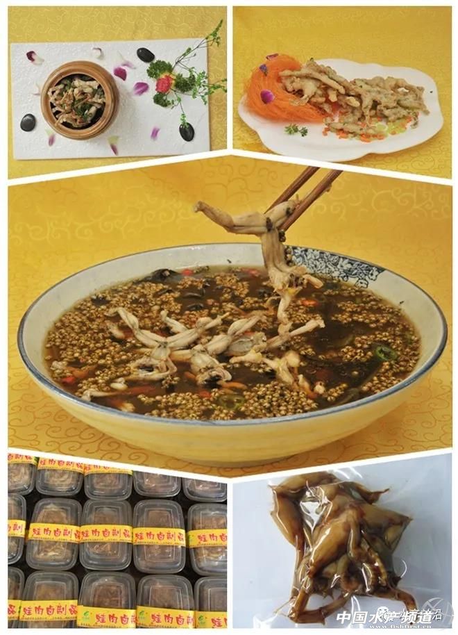 青蛙养殖是骗局还是靠谱的,青蛙养殖真的是炒作吗