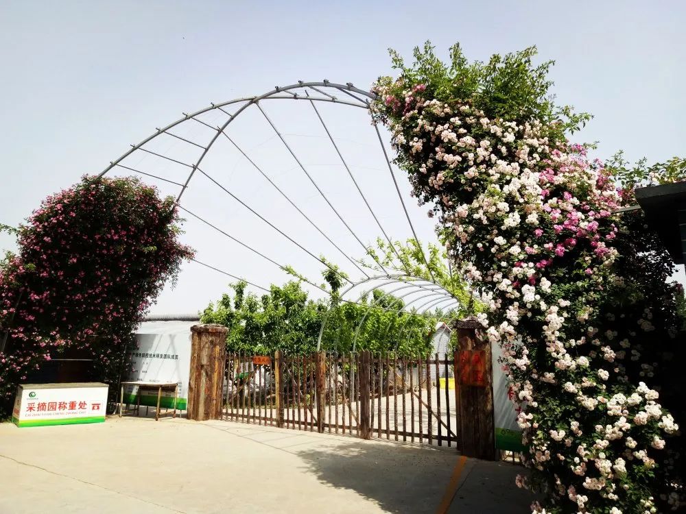 高密好玩,高密旅游怎么样