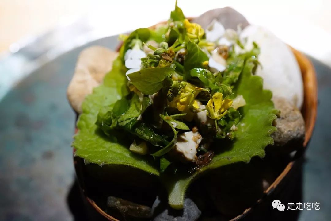 又是一年温故知新时|走走吃吃的2019-下篇