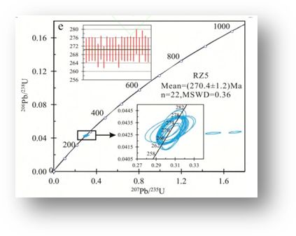 花岗岩新冠肺炎,关于新冠肺炎对人类的灾害