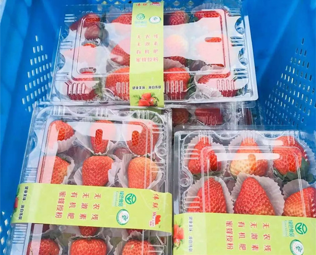 口罩下的你原来这么美丽,口罩下的真实却如此可爱