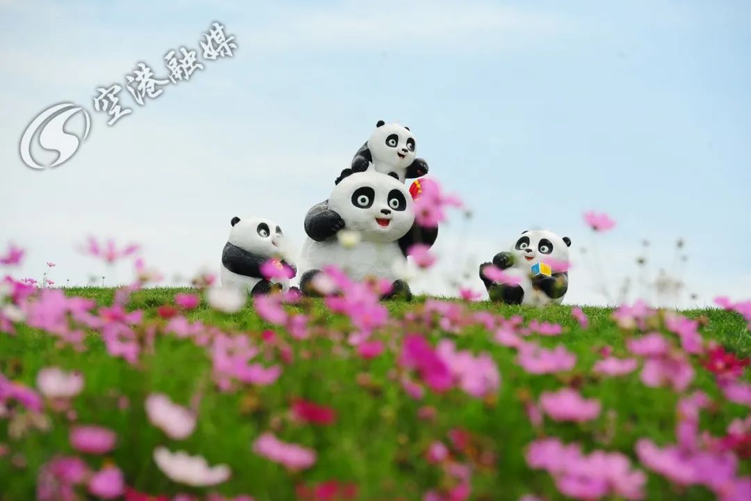 成都彭镇老茶馆,成都彭镇老茶馆打卡地点