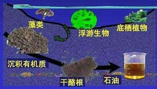 原油到底是啥,原油到底是什么啊