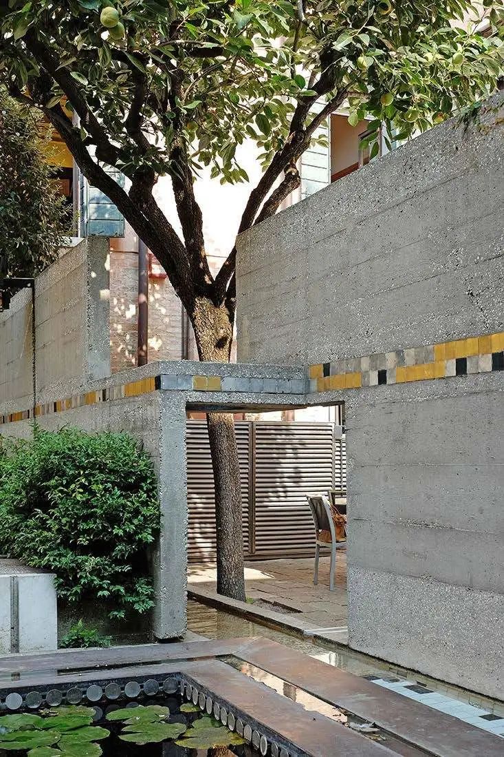 一年一度的植树,现在正在植树的视频