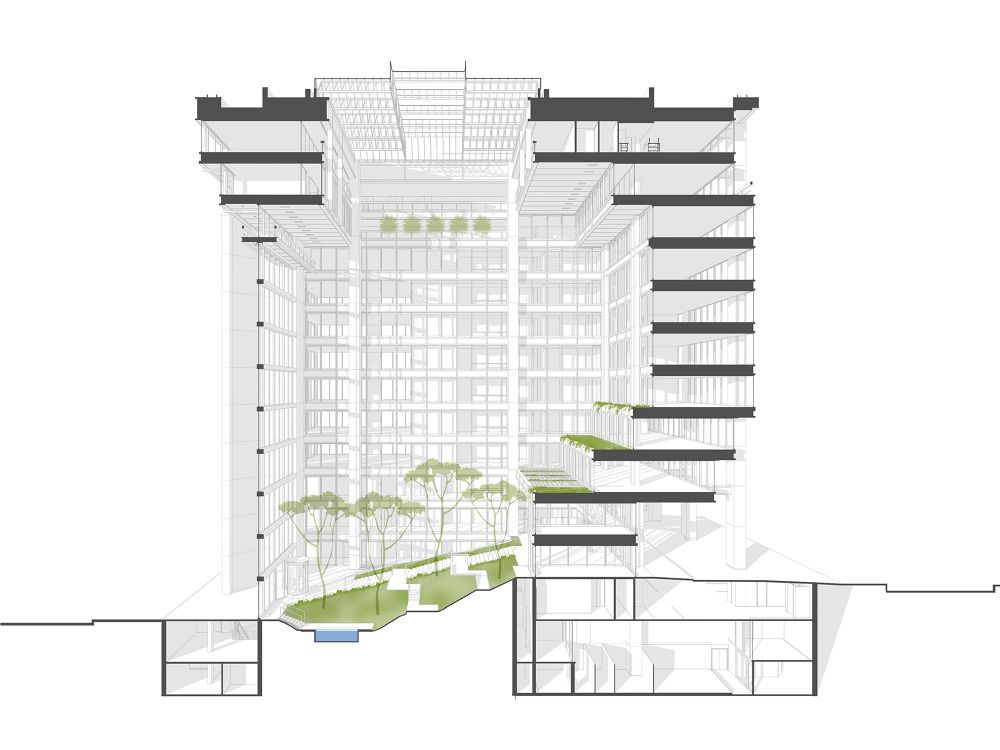 一年一度的植树,现在正在植树的视频