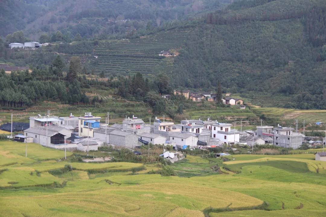 守好米袋子，提稳菜篮，保山腾冲防“疫”春耕两不误