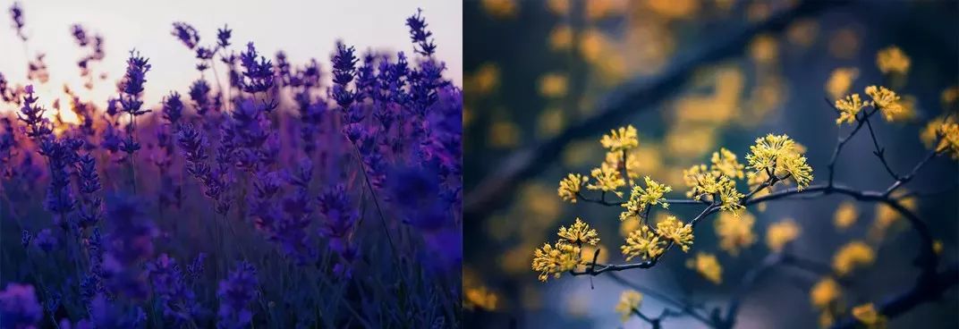 10鍒嗛挓娓呴櫎榛戝ご绮夊埡,榛戝ご绮夊埡鎸ゅ帇娓呯悊姣涘瓟绮楀ぇ