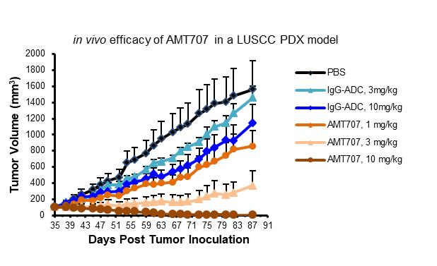 中国科学家率先突破6g技术,中国科学家研制出新型大脑芯片